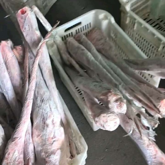 太原国产牛尾价格便宜