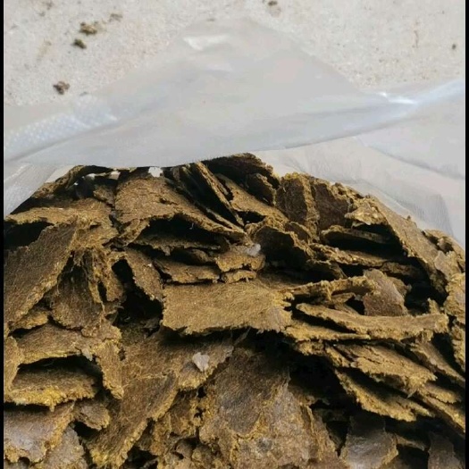 棉籽饼k可种植，可养殖