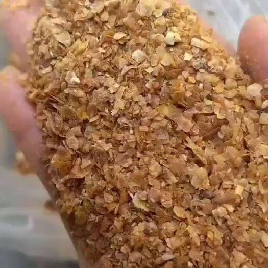 新乐市喷浆玉米皮