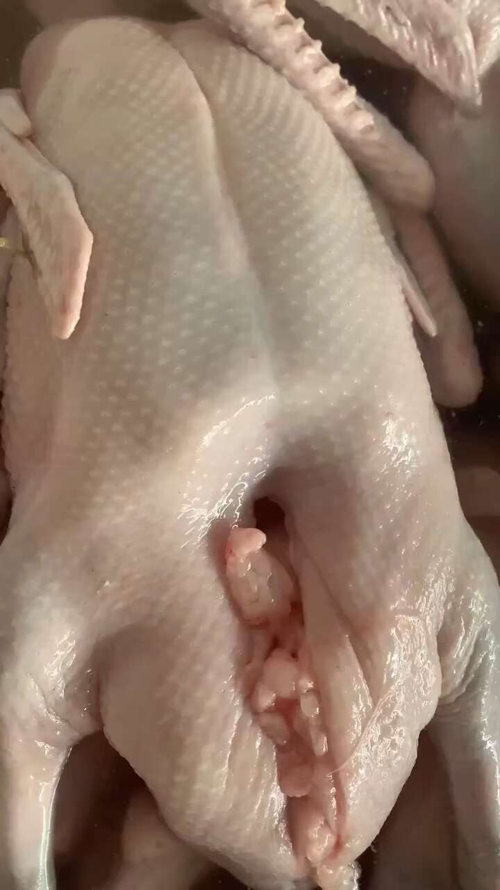 鹅肉，白条鹅，冻鹅，新鲜鹅，马岗鹅，烧鹅，