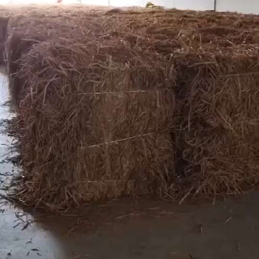 习水县曲药草