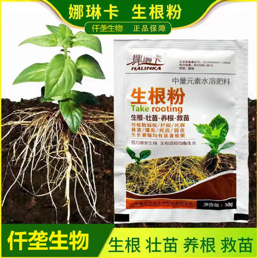 东莞市强力生根粉快速生根粉通用植物树木果树移栽扦插用强力发根壮苗剂