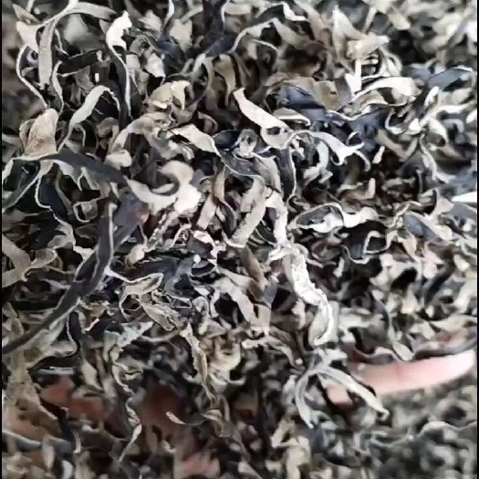 丰县木耳丝
