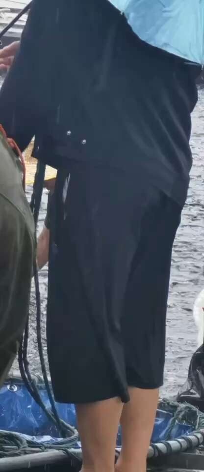 沂南县半斤到一斤左右的花鲢苗