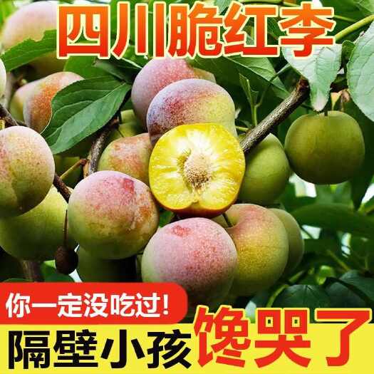长沙四川脆红李子五月脆新鲜水果脱骨青脆李子空心冰糖半边红孕妇水果