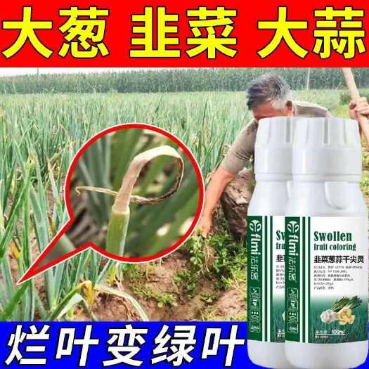 栾川县韭葱蒜干尖灵韭菜大小香葱大蒜专用药黄叶枯病全治抗病增产叶面肥