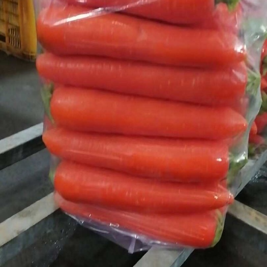 河南新苗胡萝卜(三红胡萝卜)大量上市,保质保量包售后欢迎咨询