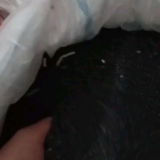 钟祥市油菜籽
