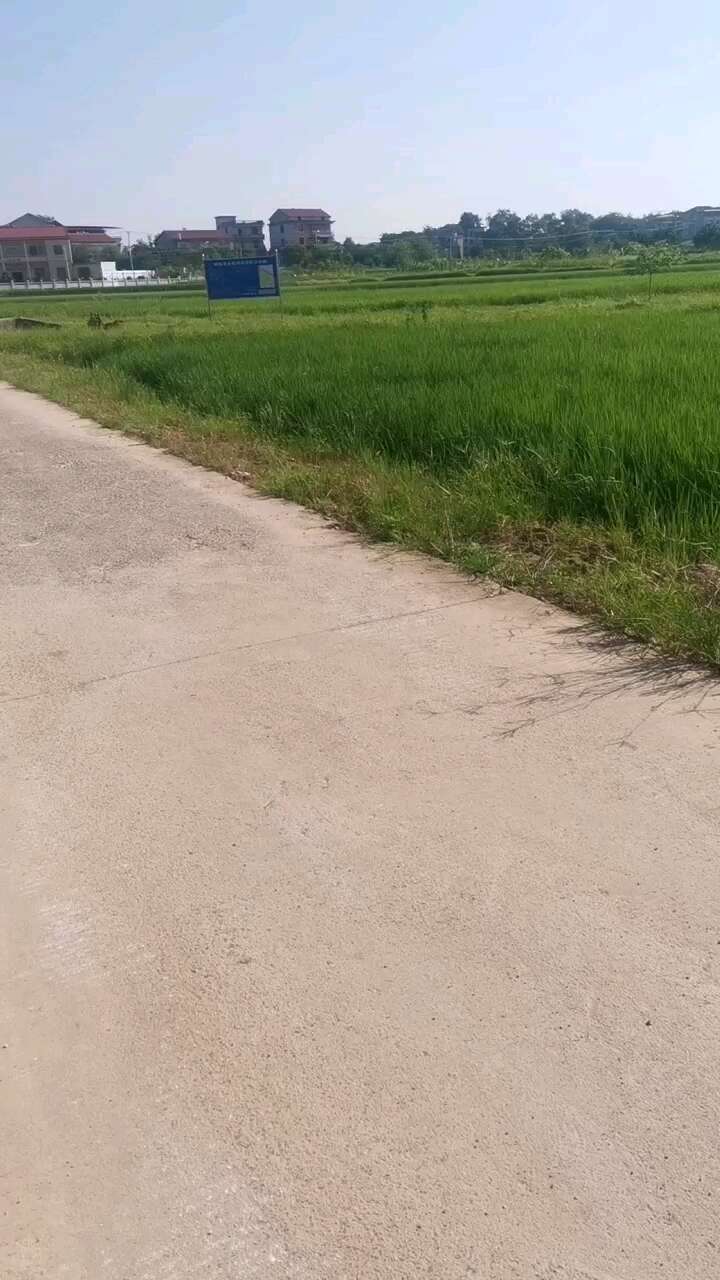 湖南衡阳地区  村集体资源出租