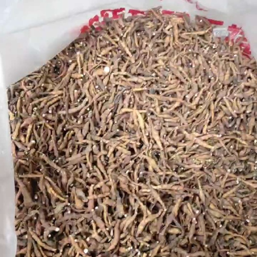 嵩县正品九节菖蒲 水洗干净好货1斤起包邮
