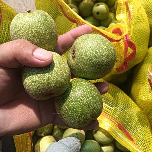 薄皮核桃