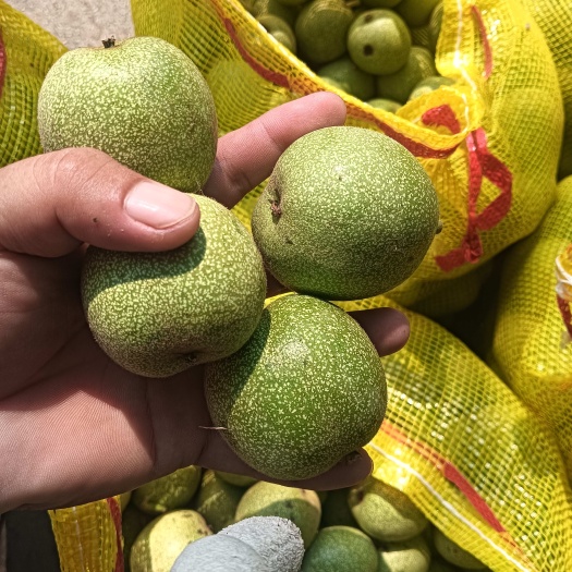 赞皇县薄皮核桃