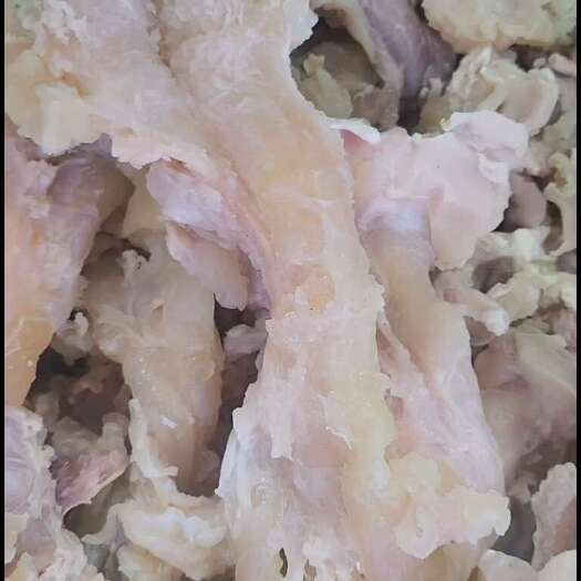 大厂县熟牛蹄筋，剂，一斤出一斤