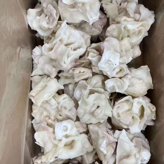 荣成市单冻鱿鱼脖