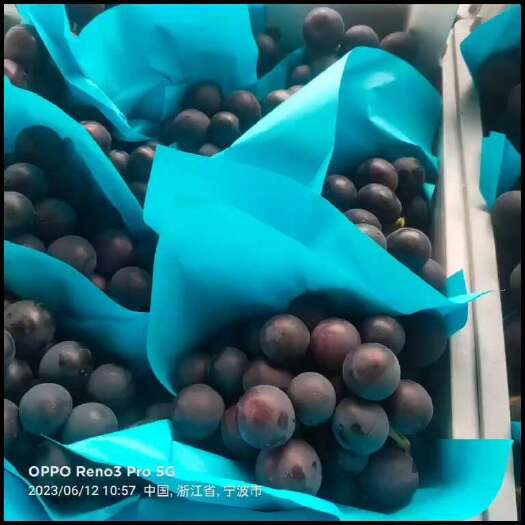 慈溪市巨峰