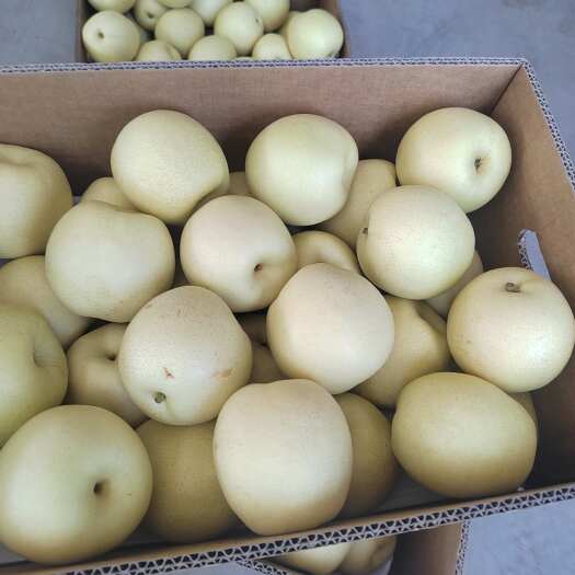河北赵县新鲜皇冠梨 现摘现发 甜蜜脆口