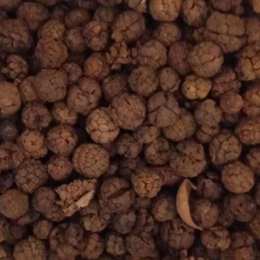 鹿邑县草寇