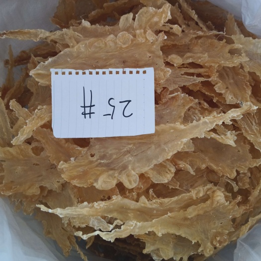 青岛鳕鱼胶