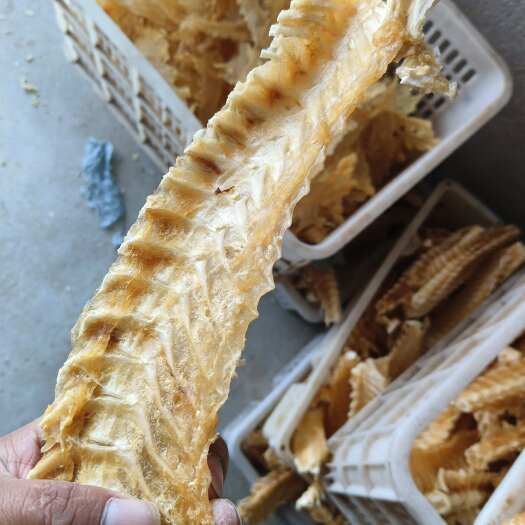 青岛鳕鱼骨大量现货每天出货1000斤
