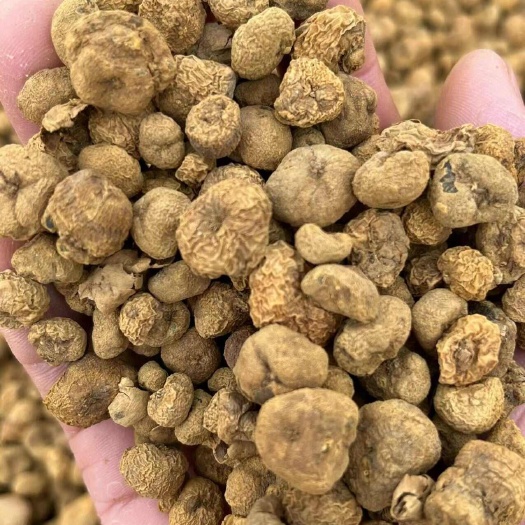 城固县常年大量现货供应干元胡鲜元胡延胡素醋片
