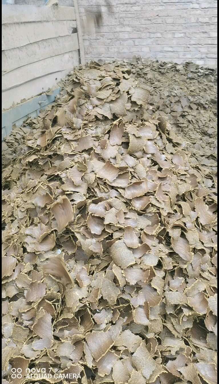 棉籽饼有机质含量高，是果树蔬菜大蒜药材的好帮手