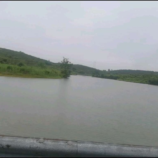衡阳集体土地流转，出租