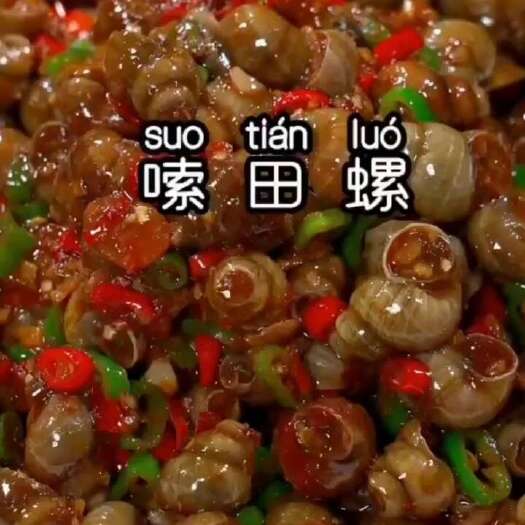 武汉300克鲜活现做的田螺 加热即食