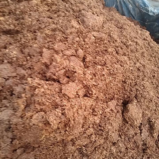 商丘古井贡酒，五粮农香型白酒糟