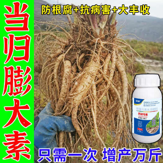 栾川县当归膨大素专用叶面肥当归地下猛长素生根壮苗剂快速生长膨果肥料