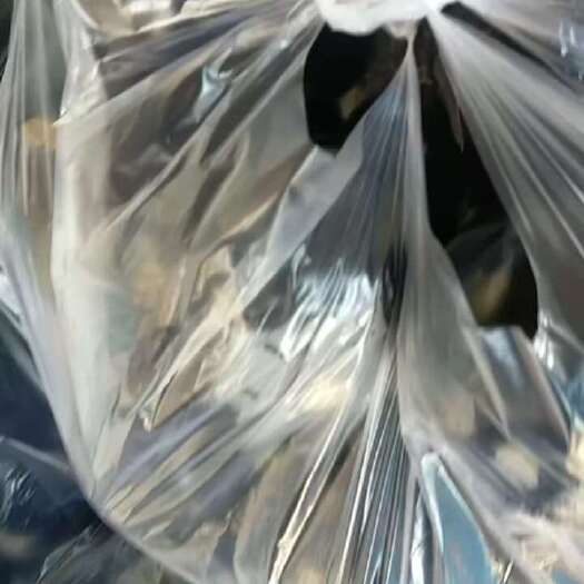 张家口白条豆角