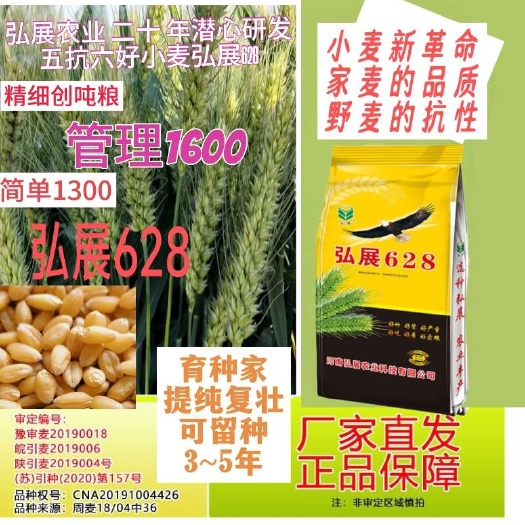 弘展628小麦种子抗病抗倒抗穗发芽小麦种子,河南安徽陕西江苏