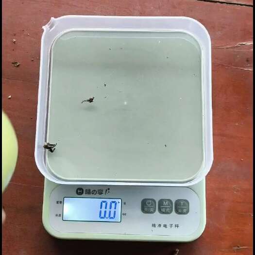 灵山县黄金百香果