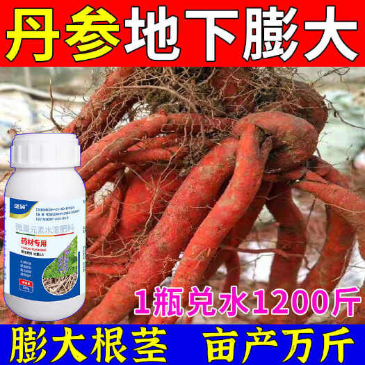 栾川县中药材根茎膨大剂】丹参地下猛长药壮苗速生根素丹参地下养根膨大