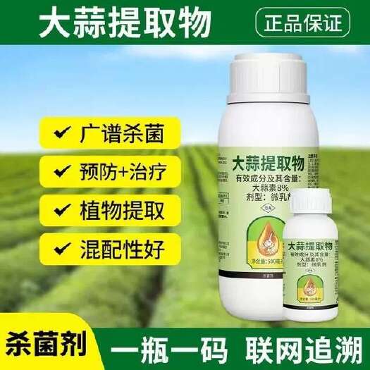奥丰大蒜油大蒜提取物黄瓜角斑病青枯病溃疡病细菌性农药杀菌剂