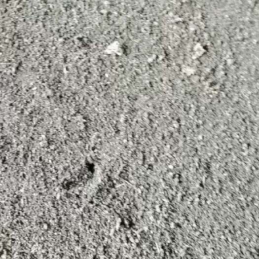 合浦县蚯蚓有机肥