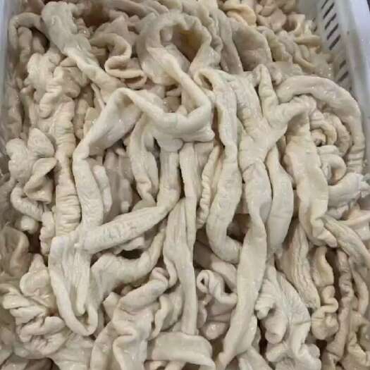 猪肠 精品优质的一级预煮大肠，都是经过去油处理的，纯干货