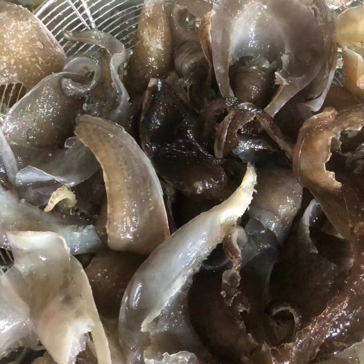 一手货源甲鱼裙边，口感厚实Q弹爽滑，十成熟不缩水，供应全国