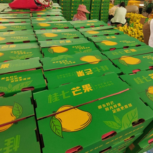 田东县广西芒果小桂七，大量供应，产地供货，价格更优。