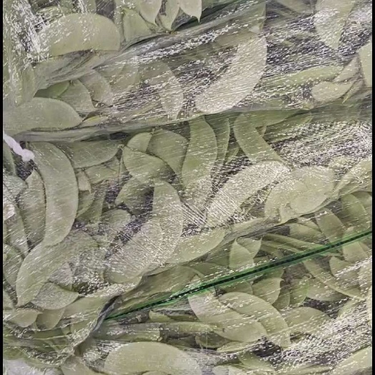 淮安绿扁豆