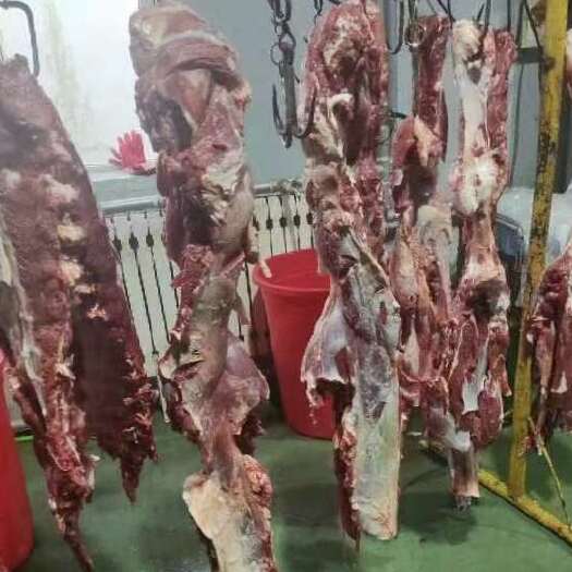 呼和浩特内蒙牛前后，板冻