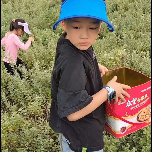南昌中药材蔓荆子