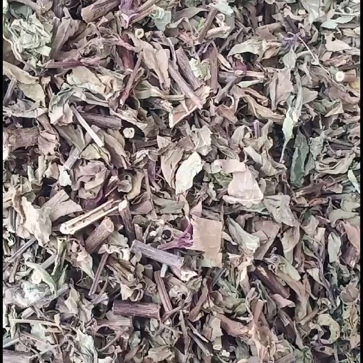 玉林猫须草肾茶中药批发新货产地现货量大忧惠