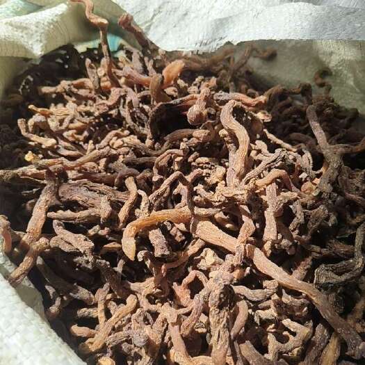 柳河县小玉竹熟货