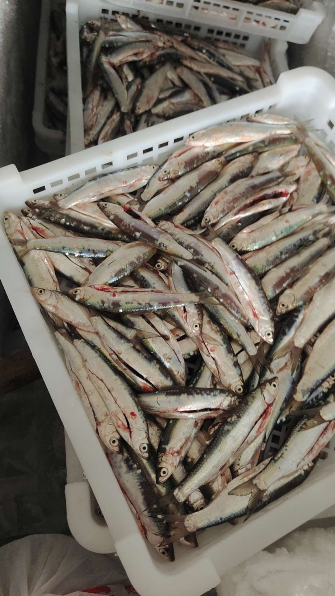 佳鄉(xiāng)特產(chǎn)店