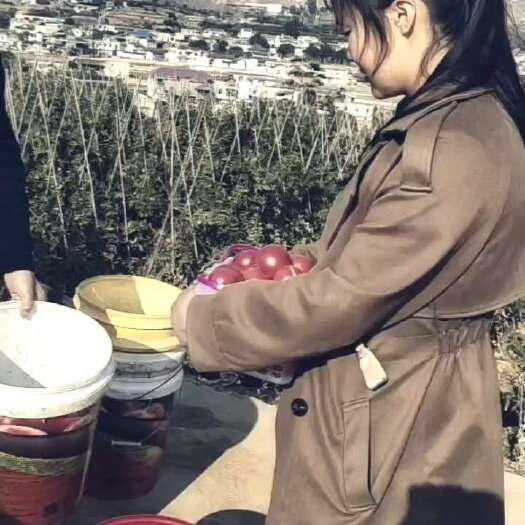 黄番茄