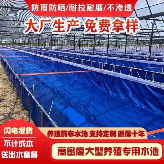 沭阳县蓄水池浇灌果园蓄水灌溉蓝莓基地蓄水池浇灌蓝莓种植蓄水池浇灌