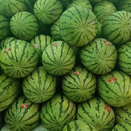 金城