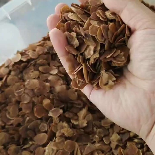 抚松县园参  吉林长白山红参片，无糖红参片，手工切片，产地直销