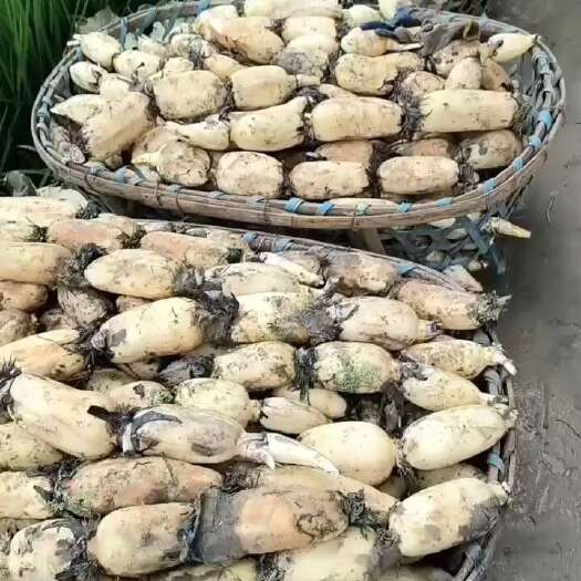 湖北新三五，大量上市，欢迎咨询