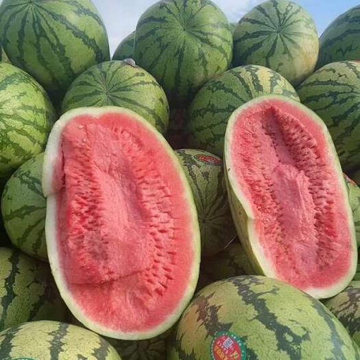 中卫宁夏硒砂瓜